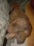 DSCF0566.JPG