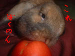 DSCF0581.JPG