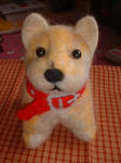 DSCF0587.JPG