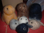 DSCF0614.JPG