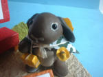 DSCF0456.JPG