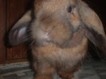 DSCF0370.JPG