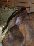DSCF0618.JPG