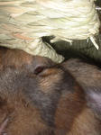 DSCF0620.JPG