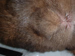 DSCF0622.JPG