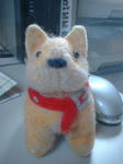 DSCF0702.JPG