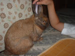 DSCF0857008.JPG