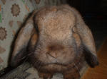 DSCF98750004.JPG