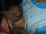 DSCF000121.JPG
