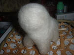 DSCF9870004.JPG