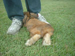 DSCF0045.JPG