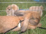 DSCF0047.JPG