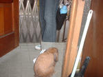 DSC6F0008.JPG
