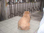 DS87CF0010.JPG