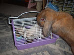 DSCF054011.JPG