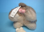 DSCF0679.JPG