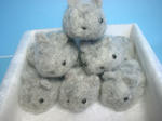 DSCF0688.JPG