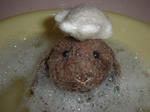DSCF0665.JPG