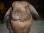 DSCF0060.JPG