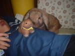 DSCF0258002.JPG
