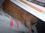 DSCF870002.JPG