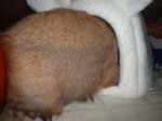 DSCF0027.JPG