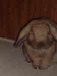 DSCF0102.JPG