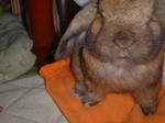 DSCF0121.JPG