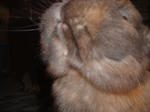DSCF0151.JPG