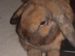DSCF0217.JPG
