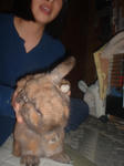 DSCF0223.JPG