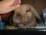 DSCF0133.JPG