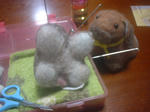 DSCF0117.JPG