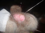 DSCF0129.JPG