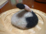 DSCF0150.JPG