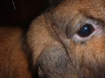 DSCF0212.JPG