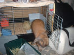 DSCF210108.JPG
