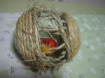 DSCF0156.JPG