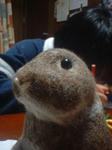DSCF0146.JPG