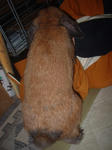 DSC2F0123.JPG