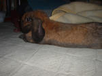 DSCF850141.JPG