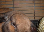 DSCF0193.JPG