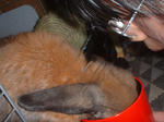 DSCF0232.JPG