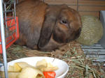 DSCF0230.JPG