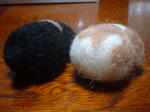 DSCF0252.JPG