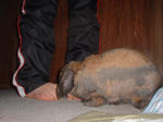 DSCF0295.JPG