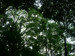 P1020547.JPG