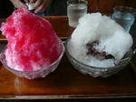 P1020553.JPG