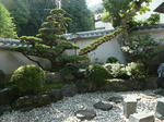P1030007.JPG