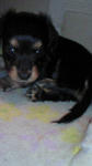 200801160746000.jpg
